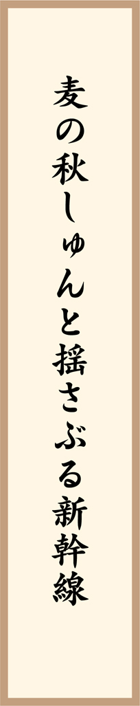 麦の秋しゅんと揺さぶる新幹線